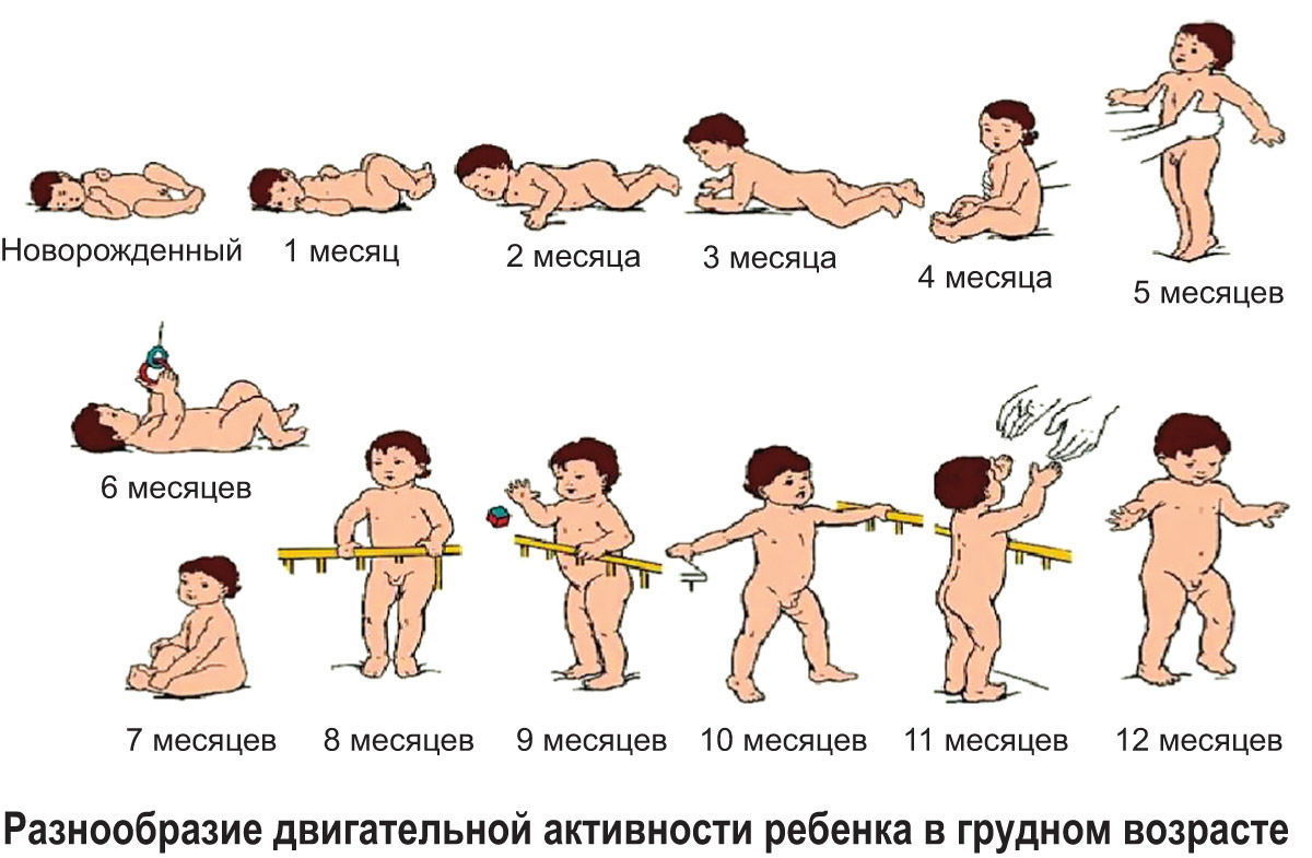 Развитие ребенка в 2 года: нормы и рекомендации