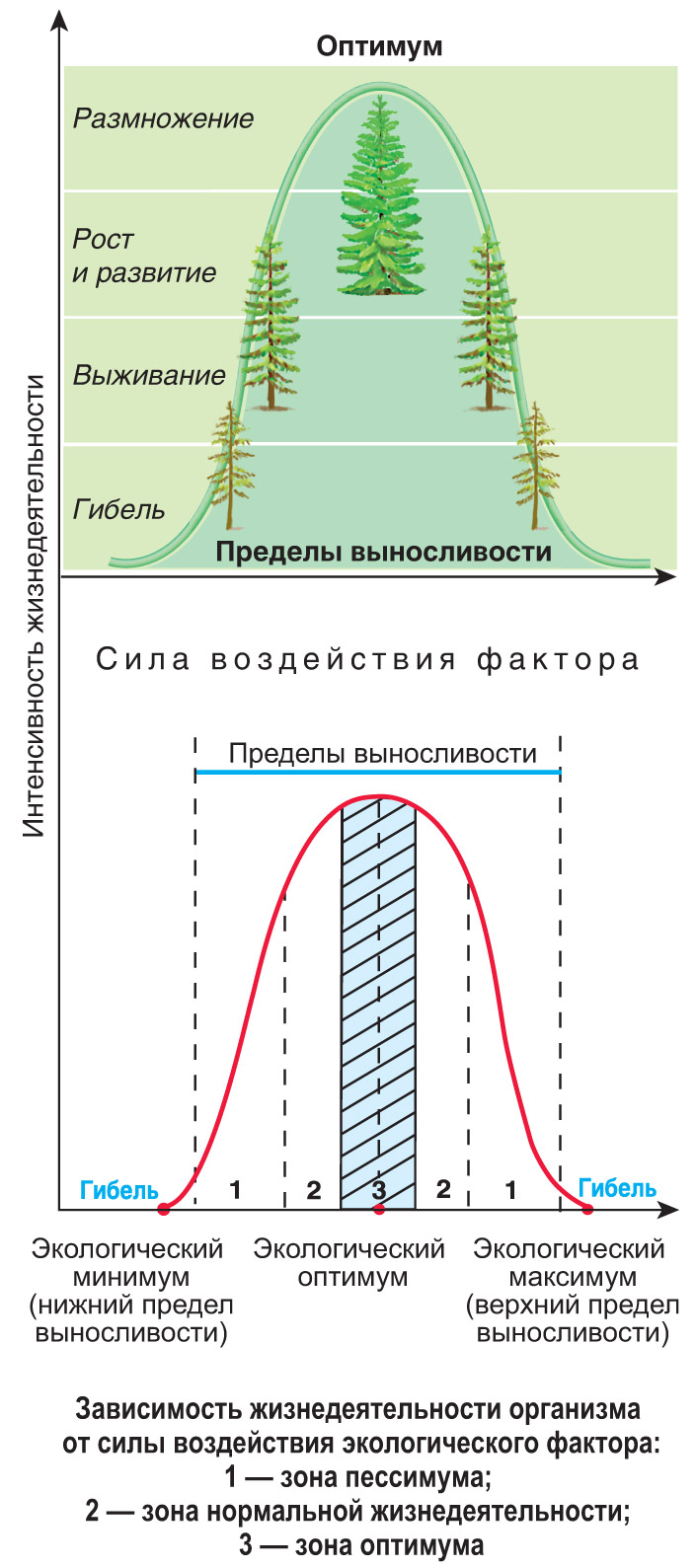 Биотические и абиотические факторы