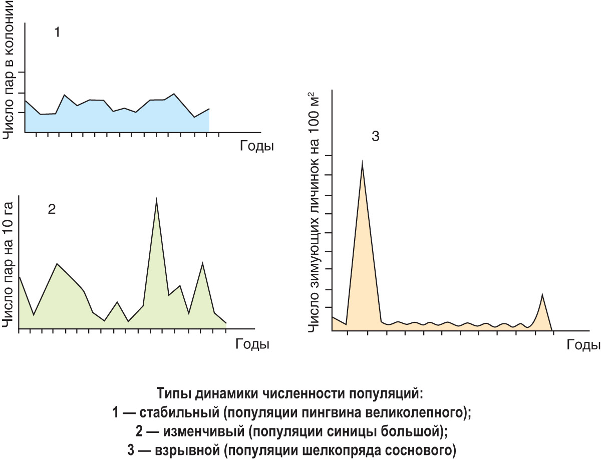 39—1. Динамика численности популяций