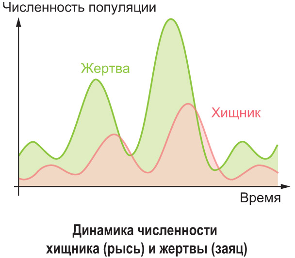 Популяция в экологии