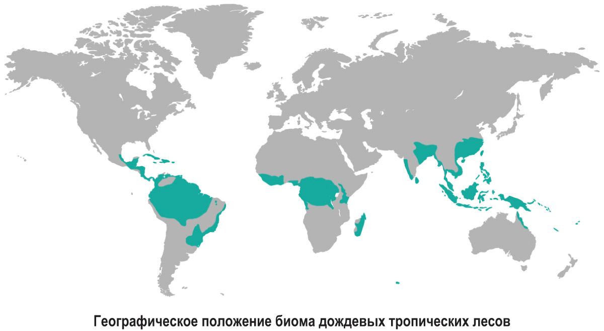 Карта дождевых лесов