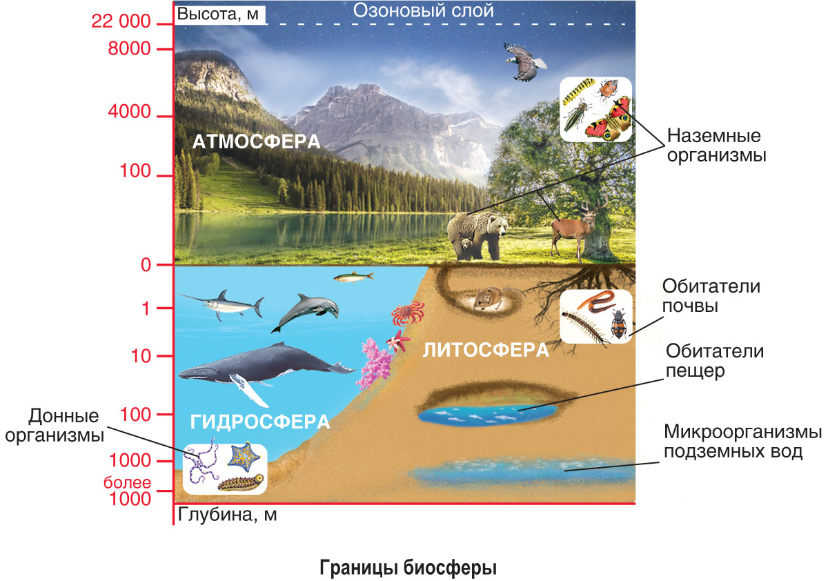 Нарисовать оболочки земли