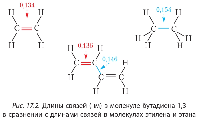 1. Теоретический тур (8)