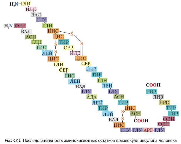 что такое биуретовая реакция белков. Смотреть фото что такое биуретовая реакция белков. Смотреть картинку что такое биуретовая реакция белков. Картинка про что такое биуретовая реакция белков. Фото что такое биуретовая реакция белков