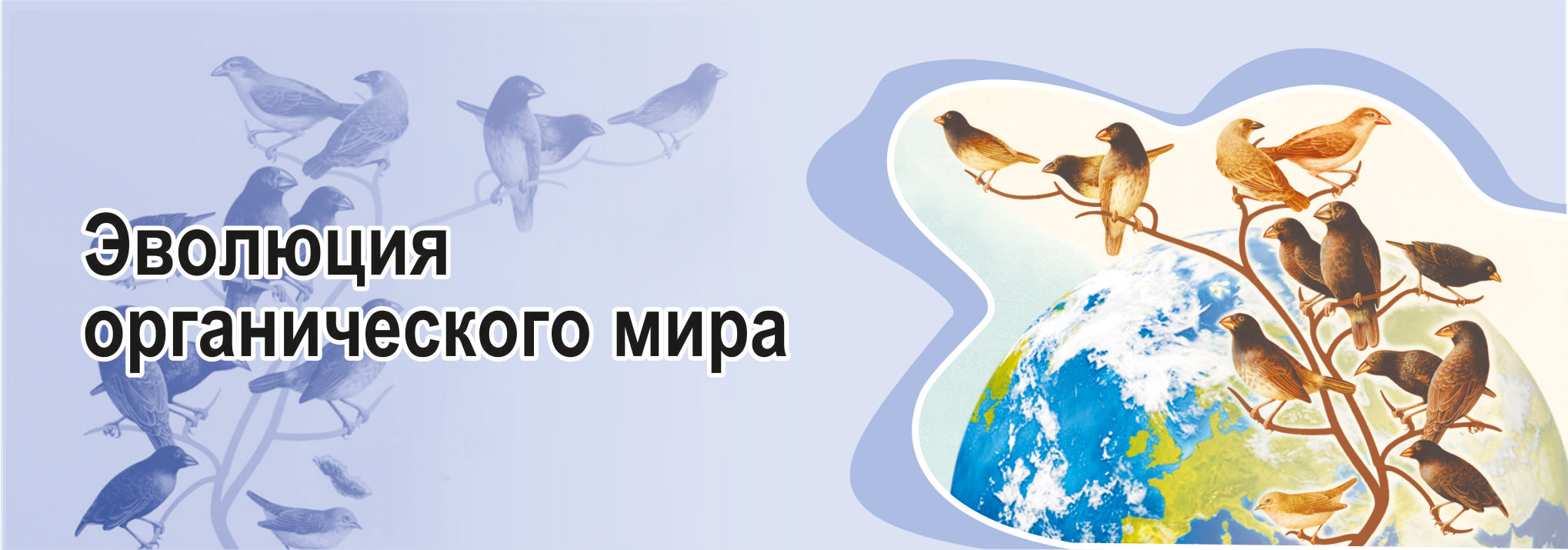 Курс: Биология. 11 класс