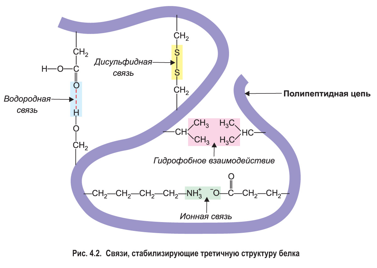 Особенности синтеза всех видов РНК: их специфика и основные механизмы
